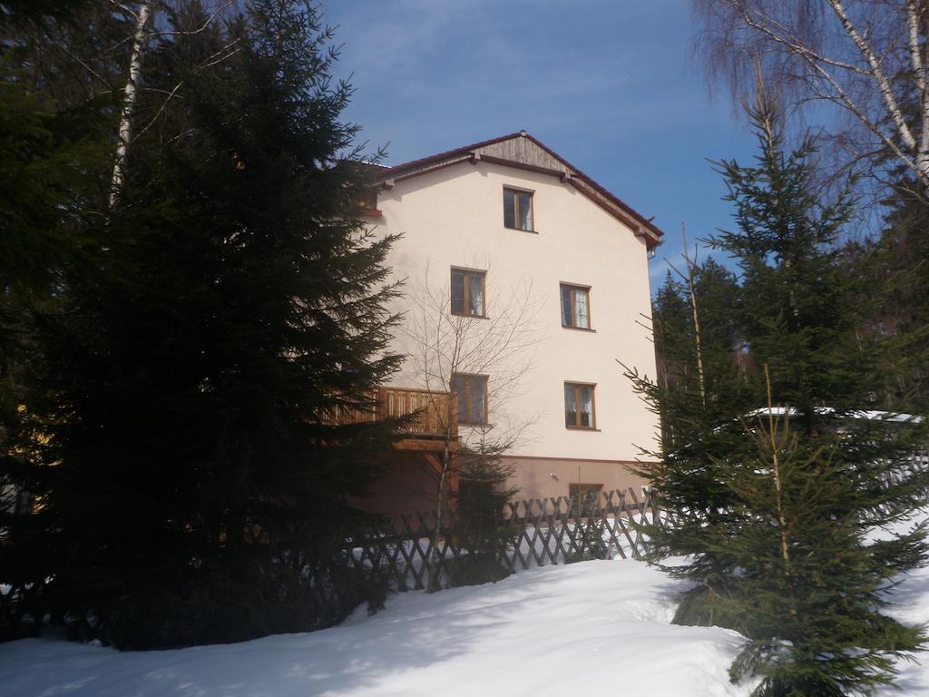 Apartmány Domino Zelezna Ruda Exterior foto