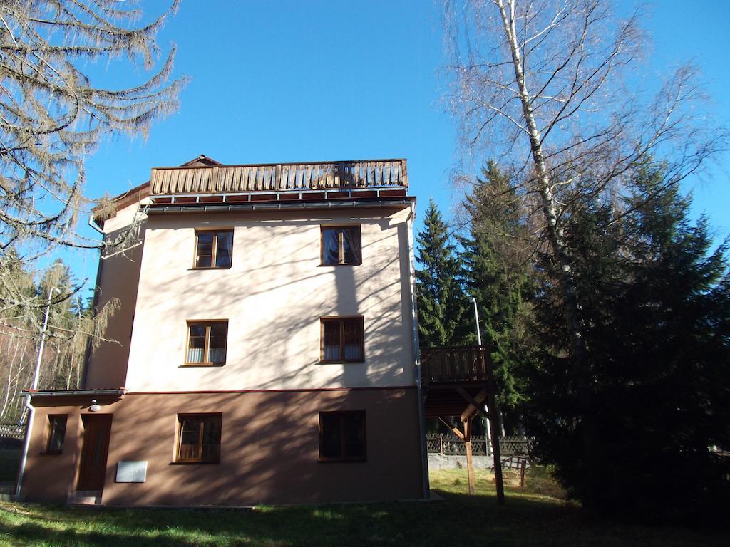 Apartmány Domino Zelezna Ruda Exterior foto
